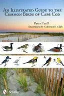 Ilustrovaný sprievodca bežnými vtákmi Cape Cod - An Illustrated Guide to the Common Birds of Cape Cod