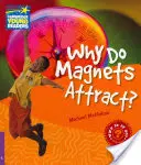 Prečo sa magnety priťahujú? Úroveň 4 Faktografický zborník - Why Do Magnets Attract? Level 4 Factbook