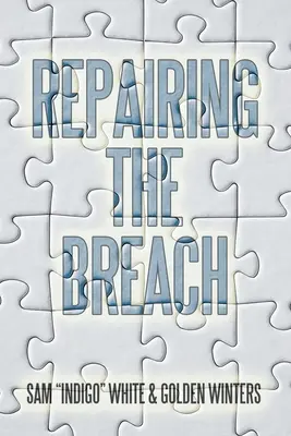 Náprava poruchy - Repairing the Breach