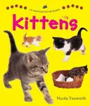 Povedzte a ukážte obrázkové tabule: Mačiatka - Say and Point Picture Boards: Kittens