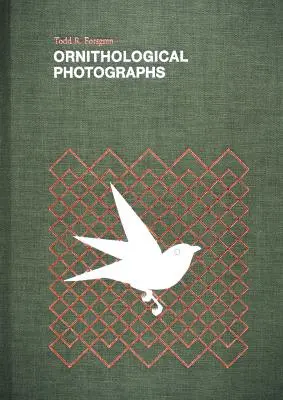 Ornitologické fotografie - Ornithological Photographs
