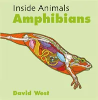 Obojživelníky - Amphibians