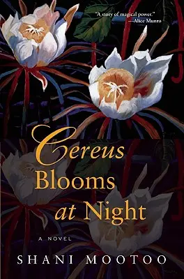 Cereus kvitne v noci - Cereus Blooms at Night
