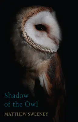 Tieň sovy - Shadow of the Owl