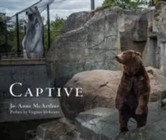 V zajatí - Captive