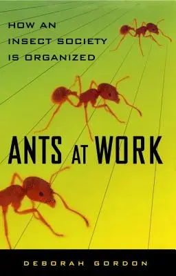 Mravce v práci: Ako je organizovaná spoločnosť hmyzu - Ants at Work: How an Insect Society Is Organized