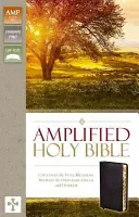 Amplified-Am: Zachytáva plný význam za pôvodnou gréčtinou a hebrejčinou - Amplified-Am: Captures the Full Meaning Behind the Original Greek and Hebrew