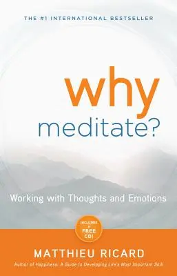 Prečo meditovať? - Why Meditate?