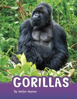 Gorily - Gorillas