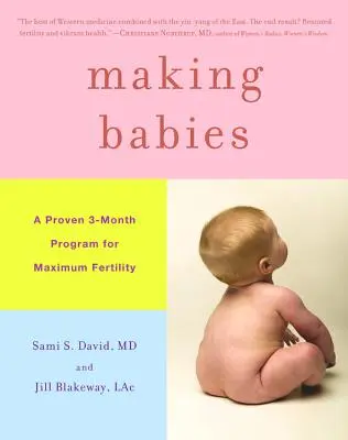 Výroba detí: Osvedčený 3-mesačný program pre maximálnu plodnosť - Making Babies: A Proven 3-Month Program for Maximum Fertility