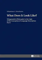 Ako to vyzerá?; Wittgensteinova filozofia vo svetle jeho koncepcie opisu jazyka: Časť I - What Does It Look Like?; Wittgenstein's Philosophy in the Light of His Conception of Language Description: Part I
