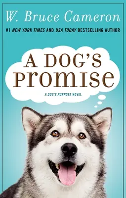 Psí sľub - A Dog's Promise
