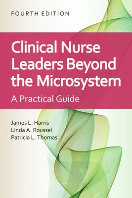 Vedúce sestry v klinickej praxi: Za hranice mikrosystému: Vedúci zdravotníckych pracovníkov: Za hranice mikrosystému (Beyond Microsystem) - Clinical Nurse Leaders: Beyond the Microsystem: Beyond the Microsystem