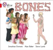 Kosti - Bones