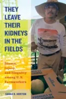 Nechávajú svoje obličky na poliach, 40: Choroby, úrazy a nezákonnosť medzi poľnohospodárskymi robotníkmi v USA - They Leave Their Kidneys in the Fields, 40: Illness, Injury, and Illegality Among U.S. Farmworkers