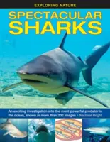 Veľkolepé žraloky: Vzrušujúce pátranie po najsilnejšom dravcovi oceánu na viac ako 200 fotografiách - Spectacular Sharks: An Exciting Investigation Into the Most Powerful Predator in the Ocean, Shown in More Than 200 Images