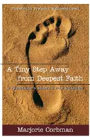 Malý krok od najhlbšej viery: Hľadanie zmyslu života tínedžerov - A Tiny Step Away from Deepest Faith: Teenager's Search for Meaning
