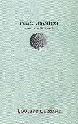 Poetický zámer - Poetic Intention