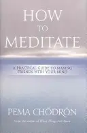 Ako meditovať: Praktická príručka, ako sa spriateliť so svojou mysľou - How to Meditate: A Practical Guide to Making Friends with Your Mind