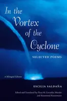 Vo víre cyklónu: Vybrané básne - In the Vortex of the Cyclone: Selected Poems