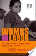 Rodičky v pôrodnici: Nadnárodné komerčné náhradné materstvo v Indii - Wombs in Labor: Transnational Commercial Surrogacy in India