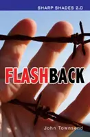 Flashback (Ostré odtiene) - Flashback  (Sharp Shades)