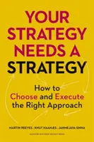Vaša stratégia potrebuje stratégiu: Ako si vybrať a realizovať správny prístup - Your Strategy Needs a Strategy: How to Choose and Execute the Right Approach