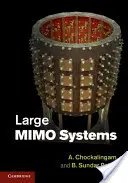 Veľké systémy mimo mesta - Large Mimo Systems