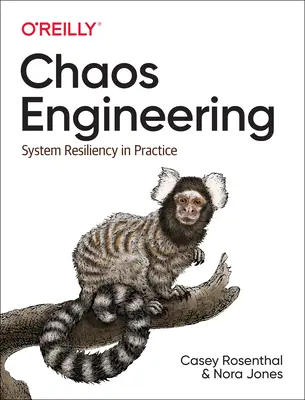 Inžinierstvo chaosu: Odolnosť systému v praxi - Chaos Engineering: System Resiliency in Practice