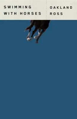 Plávanie s koňmi - Swimming with Horses