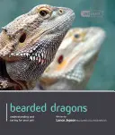 Drak bradatý - Bearded Dragon