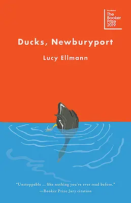 Kačice, Newburyport - Ducks, Newburyport