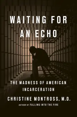 Čakanie na ozvenu: Šialenstvo amerického väzenia - Waiting for an Echo: The Madness of American Incarceration