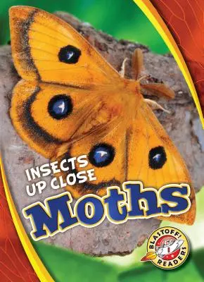 Mole - Moths