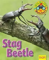 Pozorovatelia voľne žijúcich živočíchov: Chrobák jeleňovitý - Wildlife Watchers: Stag Beetle