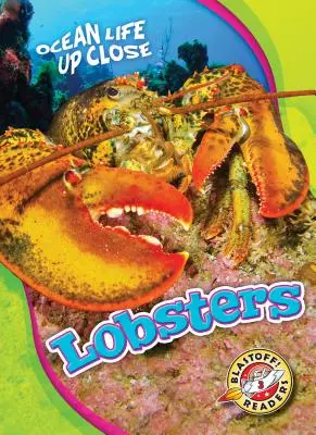 Homáre - Lobsters