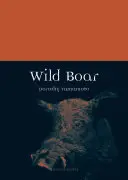 Diviak - Wild Boar