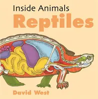 Plazy - Reptiles