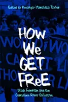 Ako sa oslobodíme: Čierny feminizmus a Combahee River Collective - How We Get Free: Black Feminism and the Combahee River Collective