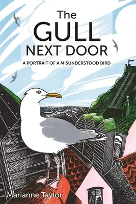 Čajka odvedľa: Portrét nepochopeného vtáka - The Gull Next Door: A Portrait of a Misunderstood Bird