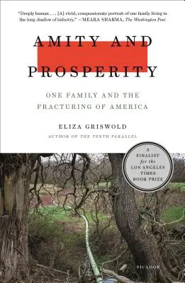 Priateľstvo a prosperita: Jedna rodina a rozpad Ameriky - Amity and Prosperity: One Family and the Fracturing of America