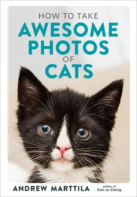 Ako robiť úžasné fotografie mačiek - How to Take Awesome Photos of Cats