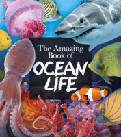 Úžasná kniha o živote v oceánoch - Amazing Book of Ocean Life