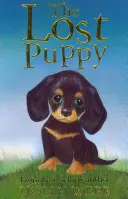 Stratené šteniatko - Lost Puppy
