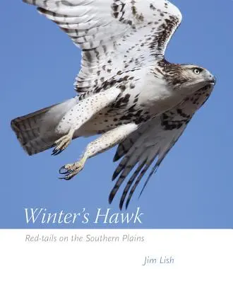 Zimný jastrab: Červený chvostoskok na južných pláňach - Winter's Hawk: Red-Tails on the Southern Plains