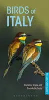 Vtáky Talianska - Birds of Italy