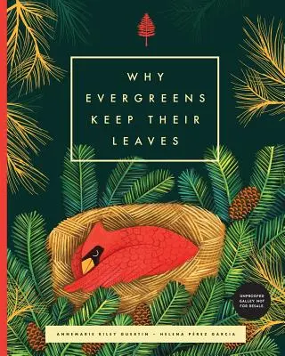Prečo si vždyzelené rastliny zachovávajú listy - Why Evergreens Keep Their Leaves
