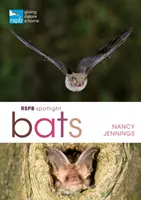 Rspb Spotlight Netopiere - Rspb Spotlight Bats