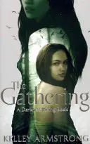 Gathering - kniha 1 zo série Darkness Rising - Gathering - Book 1 of the Darkness Rising Series