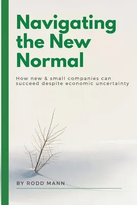 Navigácia v novom normále: Ako môžu nové a malé spoločnosti uspieť napriek hospodárskej neistote - Navigating the New Normal: How New & Small Companies Can Succeed Despite Economic Uncertainty